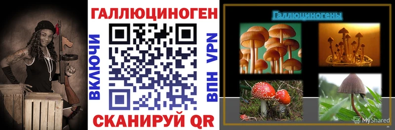 Галлюциногенные грибы MAGIC MUSHROOMS цены наркотик Красногорск